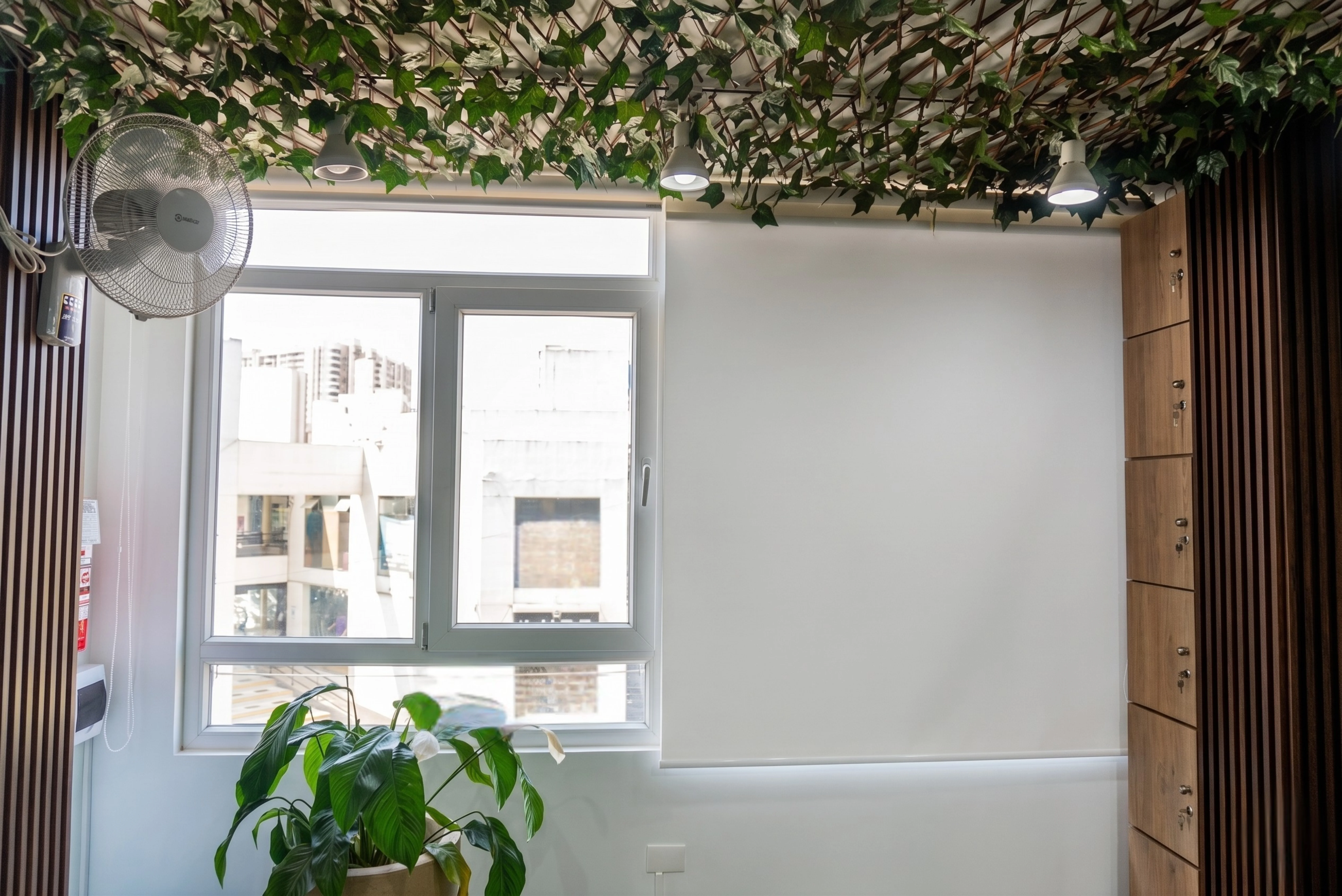 Cortinas Roller Screen